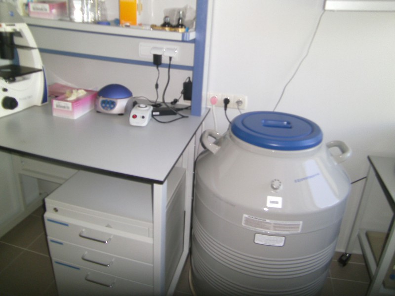 Комплекс оборудования для создания новых моделей на основе эмбриональных стволовых клеток мыши с прицельными модификациями генов  [1081-2011]