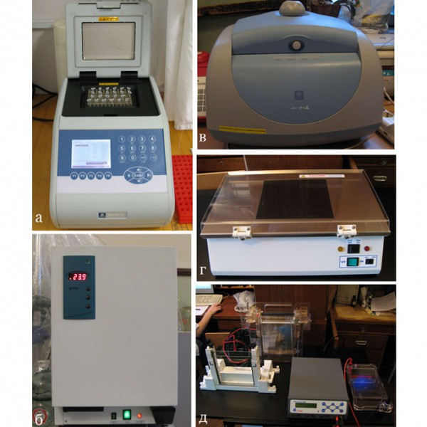 Комплект фотометрического оборудование для исследования механизмов грибного старения